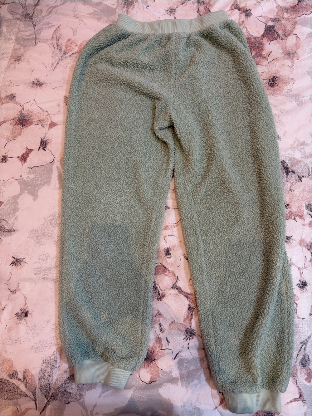Cozy Mint Green Jogger Pants